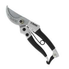 54331