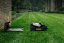 Mammotion LUBA mini 2 AWD 1000