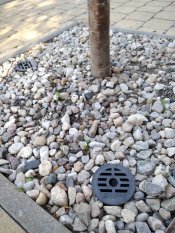 46541 46541